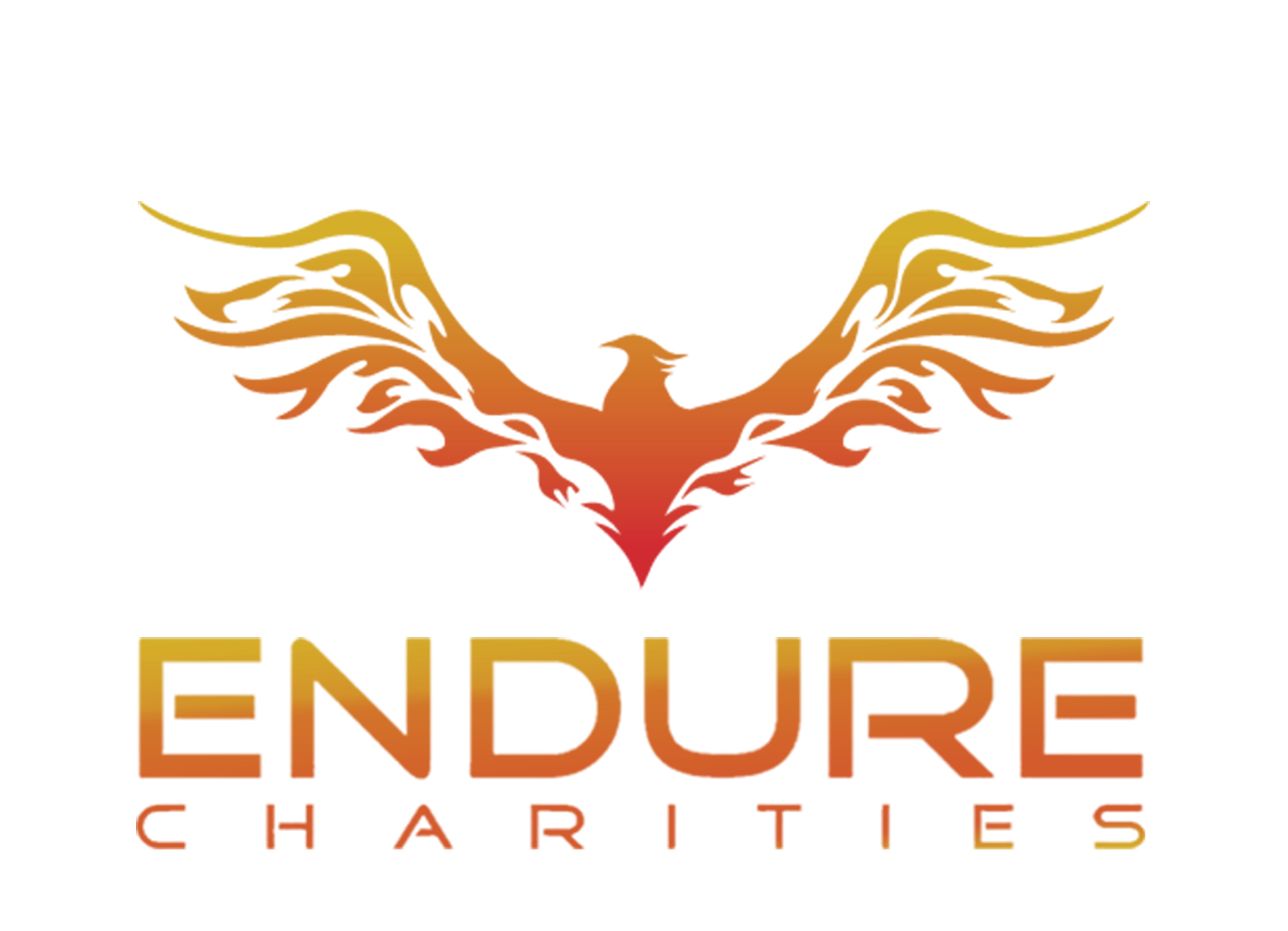 Endure Charities